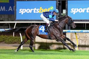 Lightning Flash, Pakenham March 2024